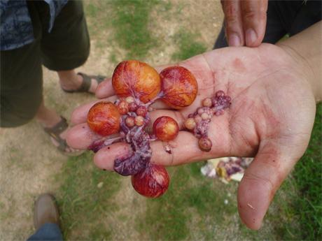 �����ں���ʡ�I���h���u��(ch��ng)�����g(sh��)ָ��(d��o)���D�V�W(xu��)��(x��)