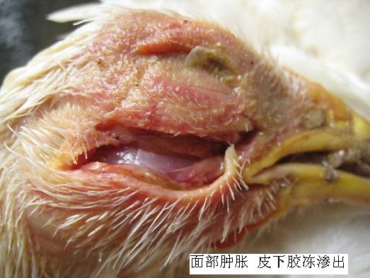 ���ʕr(sh��)��(y��ng)ԓ��ʲô��λ��ʲô��λ�l(f��)��ʲô����